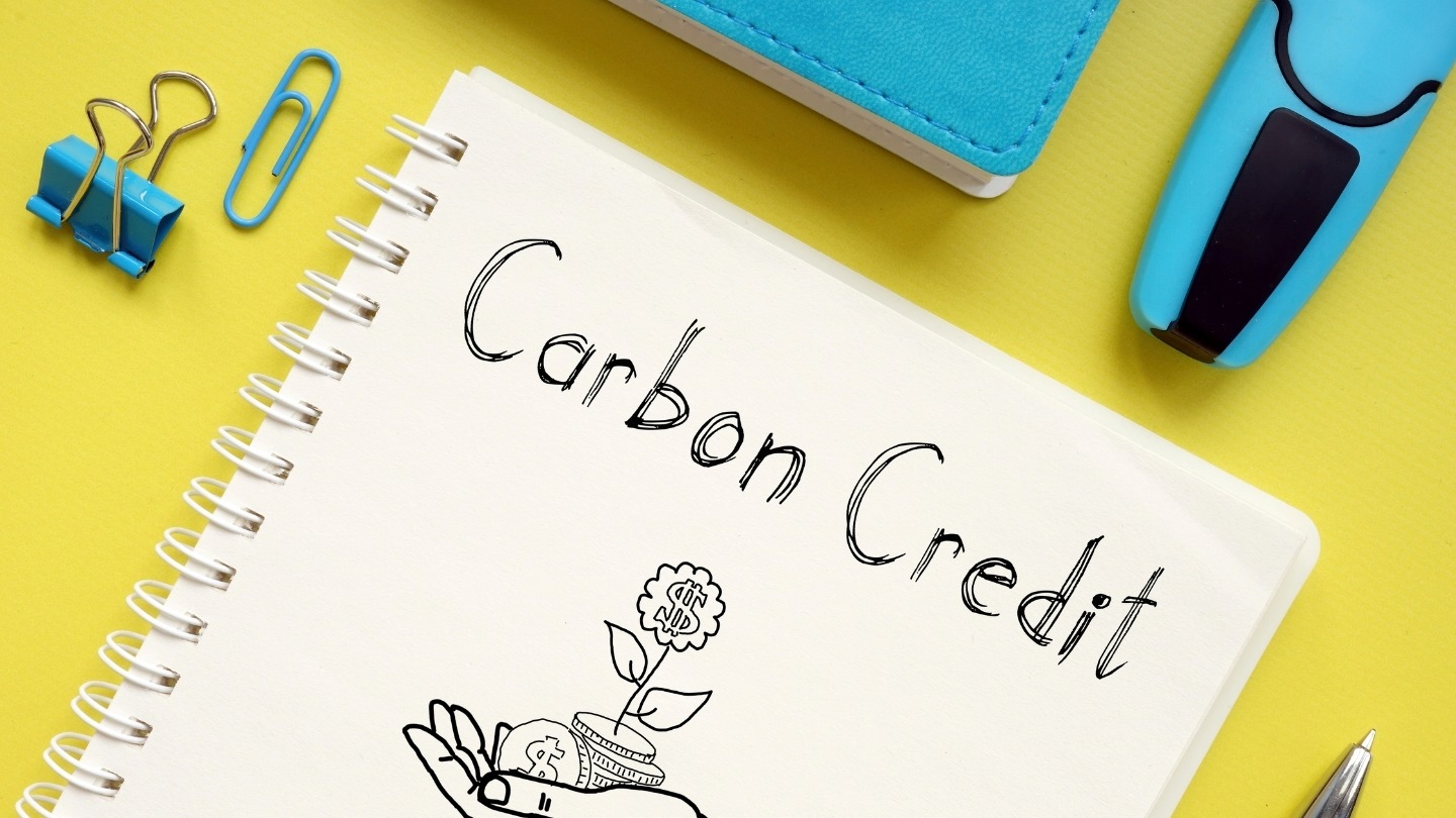 Lợi ích tài chính của doanh nghiệp khi áp dụng tín chỉ carbon